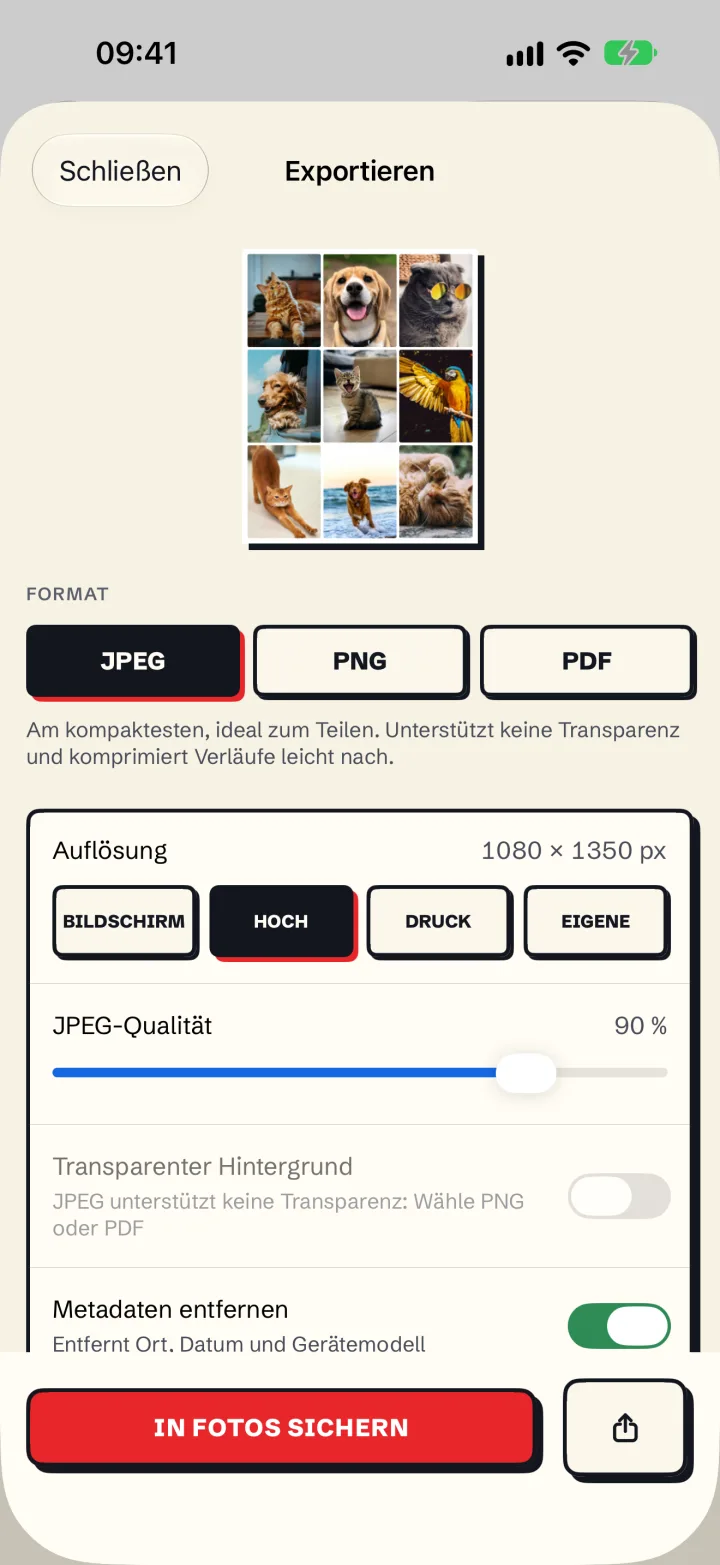 Der Exportbildschirm von Mosaira mit Formaten und Auflösung