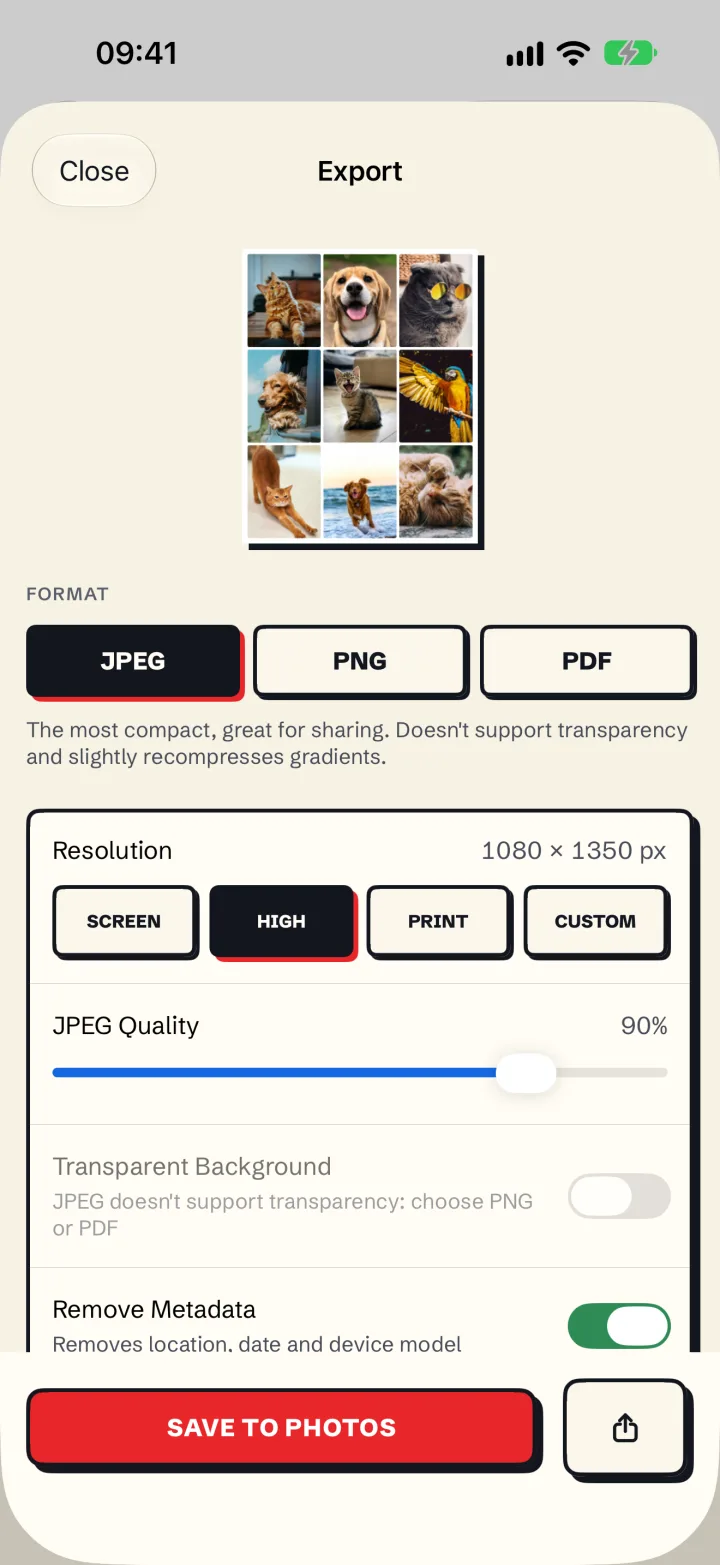The Mosaira export screen with formats and resolution