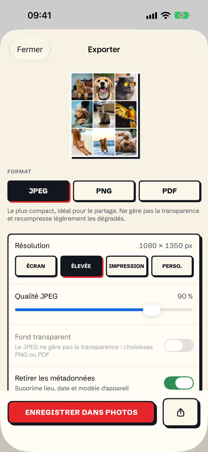 L'écran d'export de Mosaira avec les formats et la résolution
