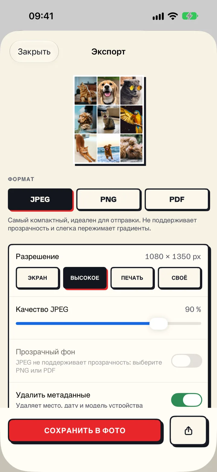 Экран экспорта Mosaira с форматами и разрешением